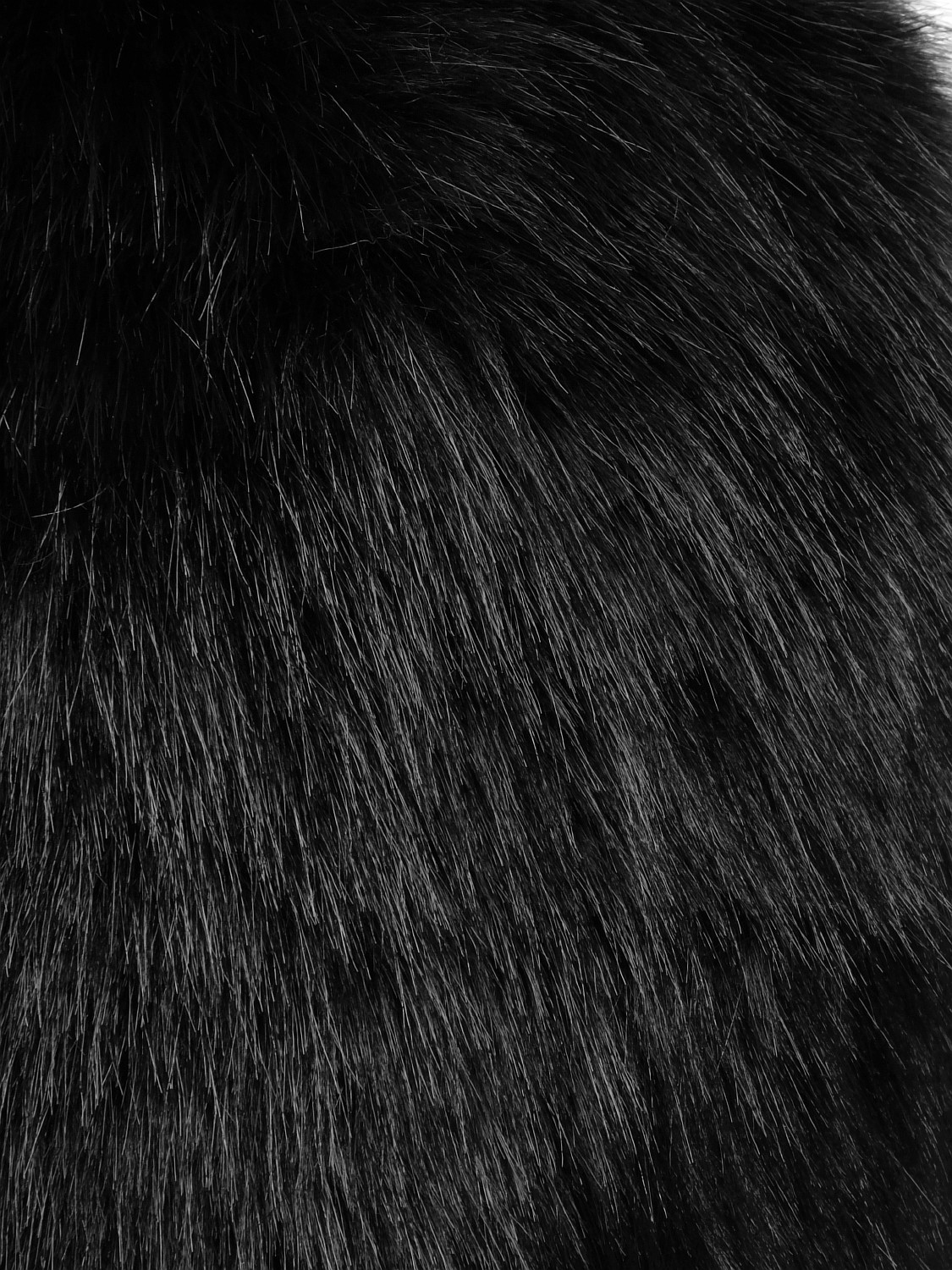 Шапка (PB2X1700)